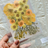 Dry Flowers Sheet